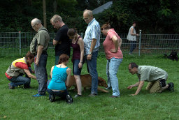 Erziehungskurs erwachsene Hunde Erziehungskurs erwachsene Hunde